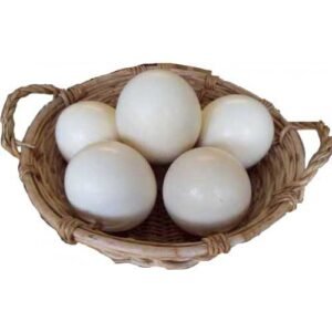 Ostrich Eggs