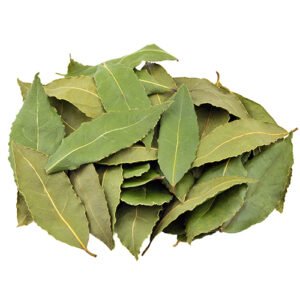 Bay Leaf