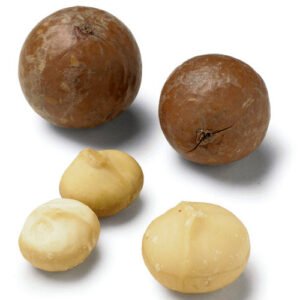 Macadamia